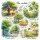 Winterlinde - Tilia cordata