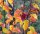 Wildbirne - Pyrus communis  60-100 cm, im 3-Liter Container