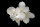 Philadelphus coronarius - Bauernjasmin 60-100 cm, 2x verpflanztter Strauch, ab 4 Trtiebe, wurzelnackt