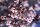 Blutpflaume - Prunus cerasifera Nigra