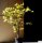 Fächerahorn Osakazuki Acer palmatum 40-60 cm, im 5-Liter Container