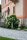 Weißer Edelflieder Mme Lemoine - Syringa vulgaris 40-60 cm, Strauch im 3 Liter Container