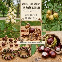 Gewöhnliche Rosskastanie - Aesculus hippocastanum Kastanienbaum