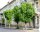 Gewöhnliche Rosskastanie - Aesculus hippocastanum Kastanienbaum