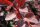 Gro&szlig;e Blutberberitze - Berberis ottawensis Superba 
