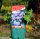 Storchschnabel - Geranium wallichianum Rozanne ®  Staude im 1-Liter Topf