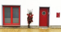 Feuerdorn mit roten Beeren - Pyracantha coccina Red Column 