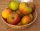 Apfelbaum Cox Orange  - Malus domestica