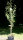 Birne Williams Christbirne - Pyrus com. Williams Christbirne Halbstamm, ca. 170 cm, im 10 Liter Container