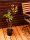  Gold-Johannisbeere - Ribes aureum