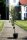 Birne Gellerts Butterbirne - Pyrus com. Gellerts Butterbirne  Halbstamm, ca. 170 cm, im 10 Liter Container