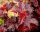Blasenspiere Lady in Red Physocarpus opulifolius 40-60 cm, Strauch im 5 Liter Container