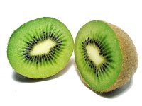 Selbstfruchende Kiwi - Actinidia deliciosa...