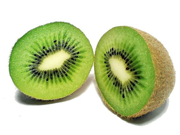 Selbstfruchende Kiwi Jenny Actinidia deliciosa  60-100 cm, im 3-Liter Topf