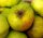 Apfelbaum Seestermüher Zitronenapfel - Malus domestica Halbstamm, ca. 170 cm, im 10 Liter Container