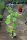 Rebstock Vanessa Vitis vinifera 60-100 cm, im 3-Liter Container