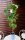 Rebstock Romulus Vitis vinifera 60-100 cm, im 3-Liter Container