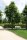 Krim-Linde - Tilia euchlora 125-150 cm, Heister im 7,5-Liter Container