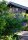 Mönchspfeffer - Keuschbaum - Vitex agnus-castus 40-60 cm, Strauch im 5-Liter Container