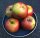 Apfelbaum Wellant - Malus domestica Wellant
